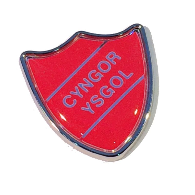 CYNGOR YSGOL badge